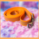 GUMUOTAS 2 cm pločio pavadėlis