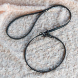 BioThane® diržo parodinis pavadėlis