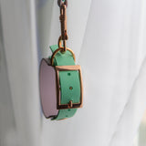 BioThane® diržo antkaklis su sumažinta sagtimi arba grandinėle (2 cm - 5 cm pločio)