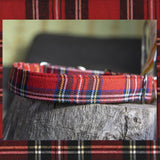 DOG SAVE THE QUEEN - medžiaginis 2.5 cm - 4 cm pločio antkaklis