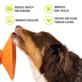 LickiMat SPLASH lėto vangymo dubenėlis - kilimėlis kibia nugarėle