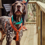 Hurtta petnešos Casual Eco Y-Harness Cinnamon