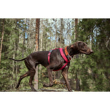 Hurtta petnešos Casual Eco Y-Harness Ruby