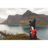 Hurtta Weekend Warrior Harness Eco Rosehip petnešos