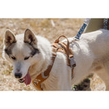 Hurtta Weekend Warrior Harness Desert petnešos