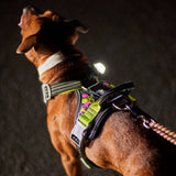 Hurtta Weekend Warrior Harness neon petnešos