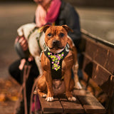 Hurtta Weekend Warrior Harness neon petnešos