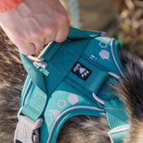 Hurtta Weekend Warrior Harness Peacock petnešos