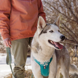 Hurtta Weekend Warrior Harness Peacock petnešos