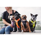 Hurtta Weekend Warrior Harness Raven petnešos