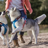 Hurtta Weekend Warrior Warming Harness Eco petnešos iš perdibtų medžiagų su pašiltinimo sluoksniu