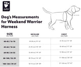 Hurtta Weekend Warrior Warming Harness Eco petnešos iš perdibtų medžiagų su pašiltinimo sluoksniu