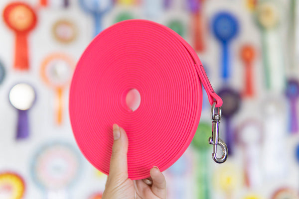 10m ilgio PVC 10 mm pavadėlis be rankenos