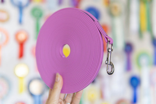 9,5m ilgio PVC 10 mm pavadėlis be rankenos