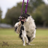 Barsuko kailio žaislas DOGGIE ZEN
