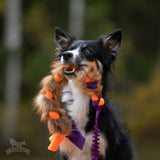 Lapės kailio ir fliso pynė DOGGIE ZEN