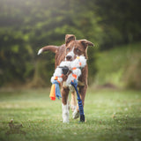 Triušio kailio ir fliso pynė DOGGIE ZEN - M dydžio
