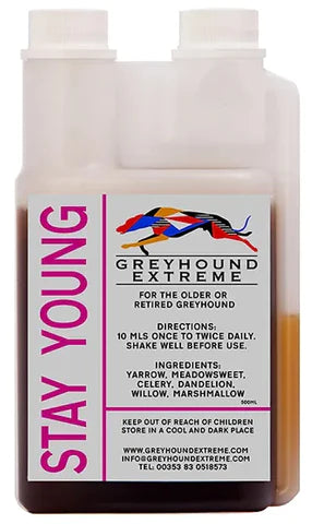 STAY YOUNG 500ml - Greyhound Extreme papildas (turime vietoje)